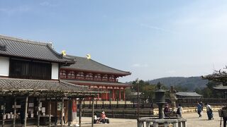 敷地内大きな建物多い