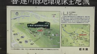 眺めが素晴らしい