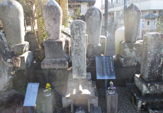 滝廉太郎のお墓はご両親と一緒でした。