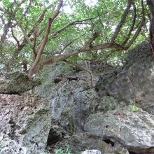 更に奥へと続いてる？