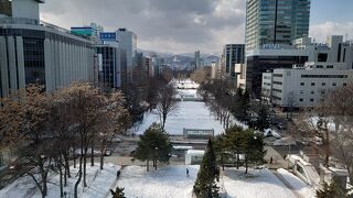 雪解けの大通公園