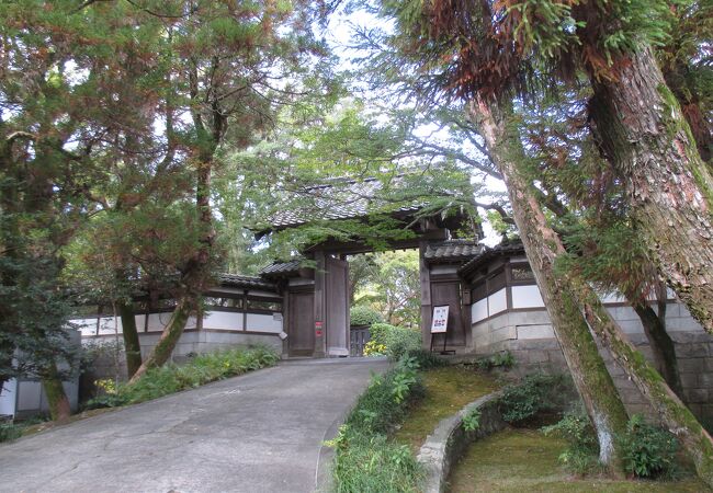 思いのほか、見どころいっぱいです。