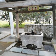 来宮神社