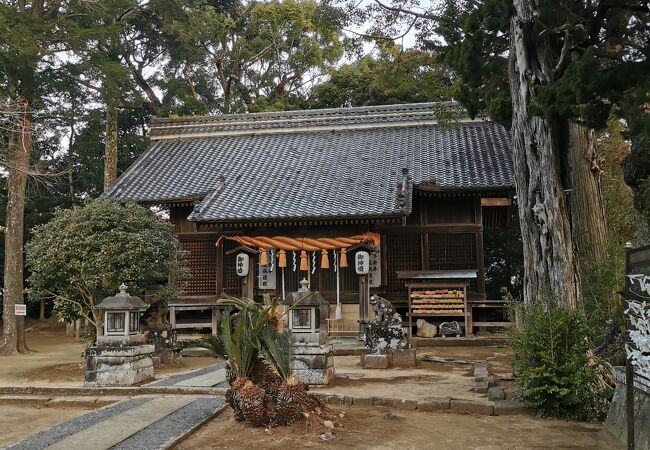 来宮神社