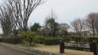 原っぱ広場があります