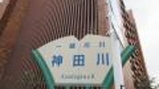 桜にはまだ早く