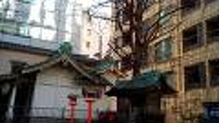 福井藩常盤橋松平氏の邸内鎮守