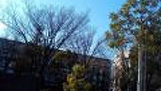 桜はまだかいな