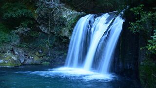 河津桜とともに伊豆を代表する観光名所