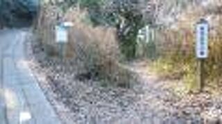 丘陵地帯の公園