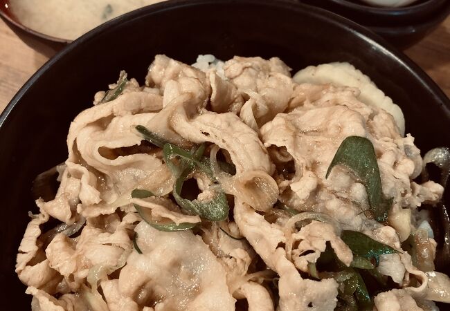 今回は「生姜丼」を食べてみた