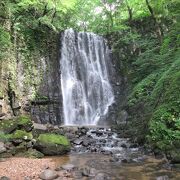 綺麗な滝ですが，滝の上には道路が走っています