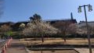 とても良かったです。