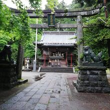 今市瀧尾神社の本殿です。