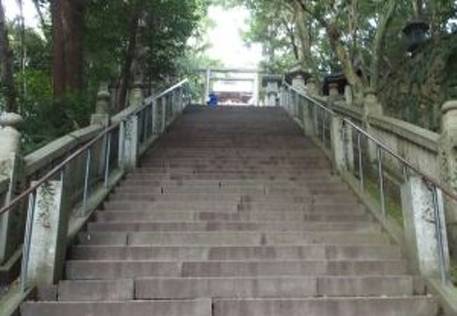 金毘羅さんが鎮座する山