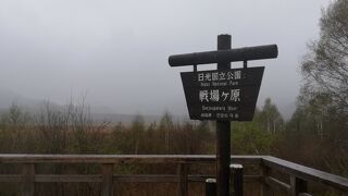 奥日光に広がる日本有数の湿原