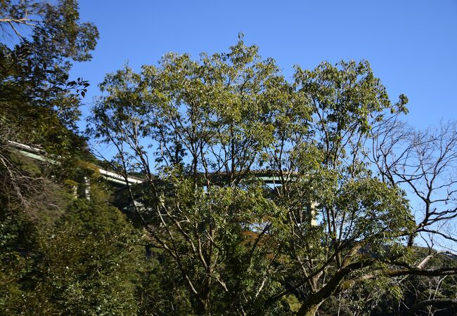 河津七滝の滝に向かう国道にかかるループ橋