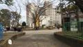 スカイツリーをのぞむ地域の公園