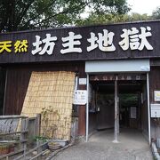 地獄巡りとは別料金