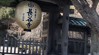 今しかできない御足参りに行ってみたら、いかがですか。