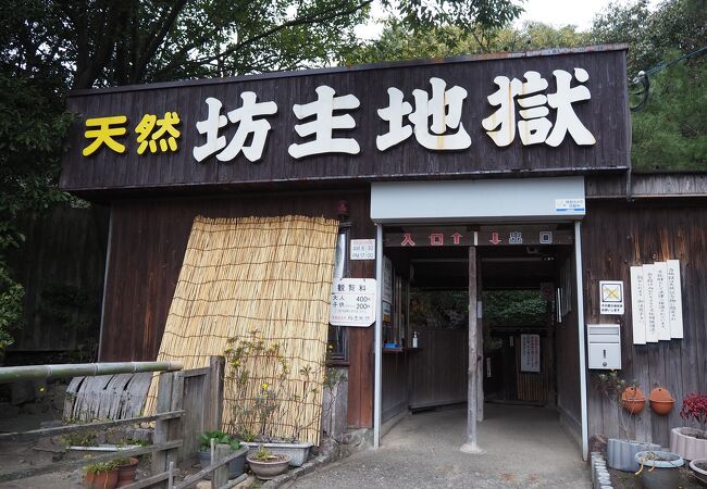 坊主地獄 クチコミ アクセス 営業時間 別府温泉 フォートラベル