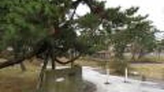 湯の川温泉にある小さな公園