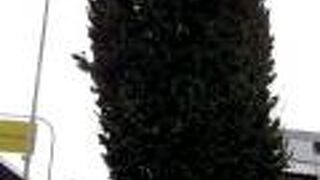 島原住吉神社の北側にありました。