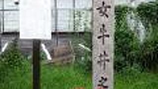 堀川通り沿いにありました