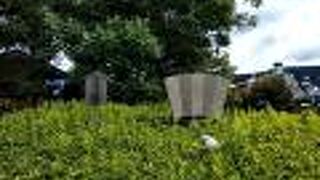 牛若丸と弁慶像の近くにあります。