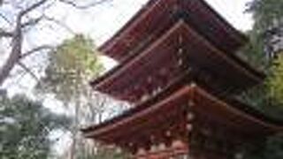 訪れる方も少ない浄瑠璃寺には浄土式庭園と吉祥天女像があります。