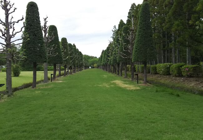 素晴らしい無料の庭園、四季の花と緑の中を歩く。