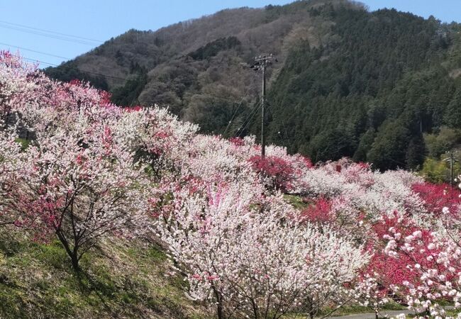 阿智 平谷の名所 史跡 クチコミ人気ランキングtop18 フォートラベル 長野県
