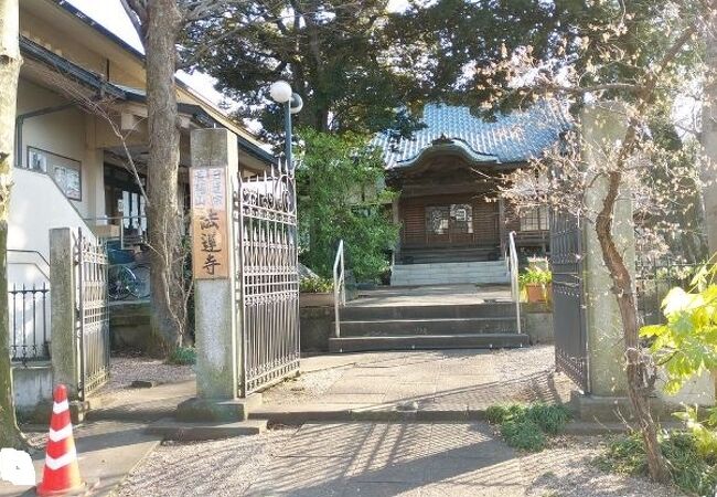 木々が多く落ち着いた寺院