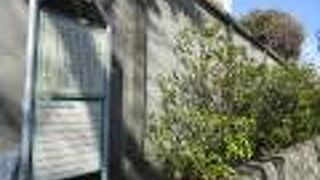 坂道の距離は比較的短い