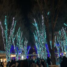 けやきの下を歩いて駅へ