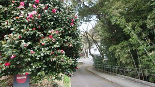 油彩画だけでなく多くの作品が制作された地で中川一政の生涯を実感できる。