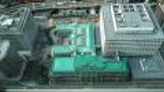 円の形がくっきり見えました