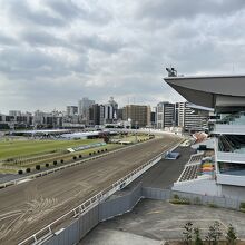 競馬場の中