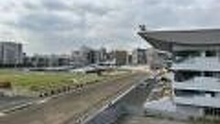 内馬場はパークになっている