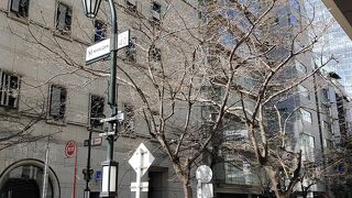 道路わきの石柱には「日本橋さくら通り」と有り、「八重洲さくら通り」という名称は見当たりません。