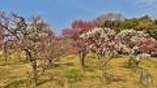 沢山の施設がある公園