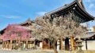 西本願寺に隣接したお寺