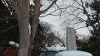 深い雪に埋もれていました