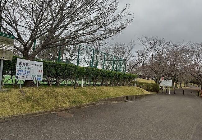 芝生広場があり眺めのよい公園