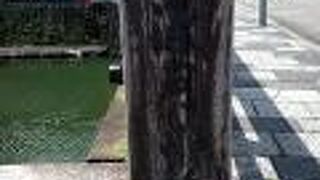 橋の欄干に書いてある名前は、すごく読みにくかったです。