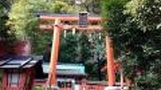 鳥居をくぐった右側に神社の境内があり、左側にモンキーパークの入口がありました。