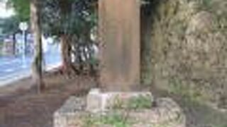 立派な古木を見かけました