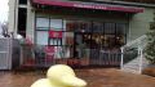 大切な家族の一員である愛犬とともに