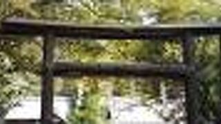 樹皮が付いたままのかなり変わった鳥居です。