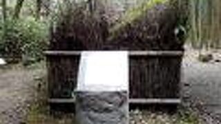 野宮神社のそばにありました。